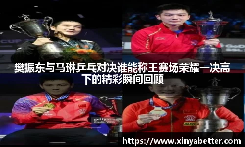 樊振东与马琳乒乓对决谁能称王赛场荣耀一决高下的精彩瞬间回顾